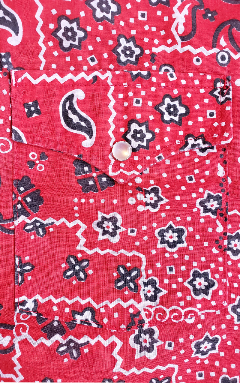 Vintage Lee Western Style Snapdown Shirt