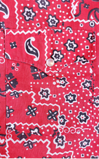 Vintage Lee Western Style Snapdown Shirt