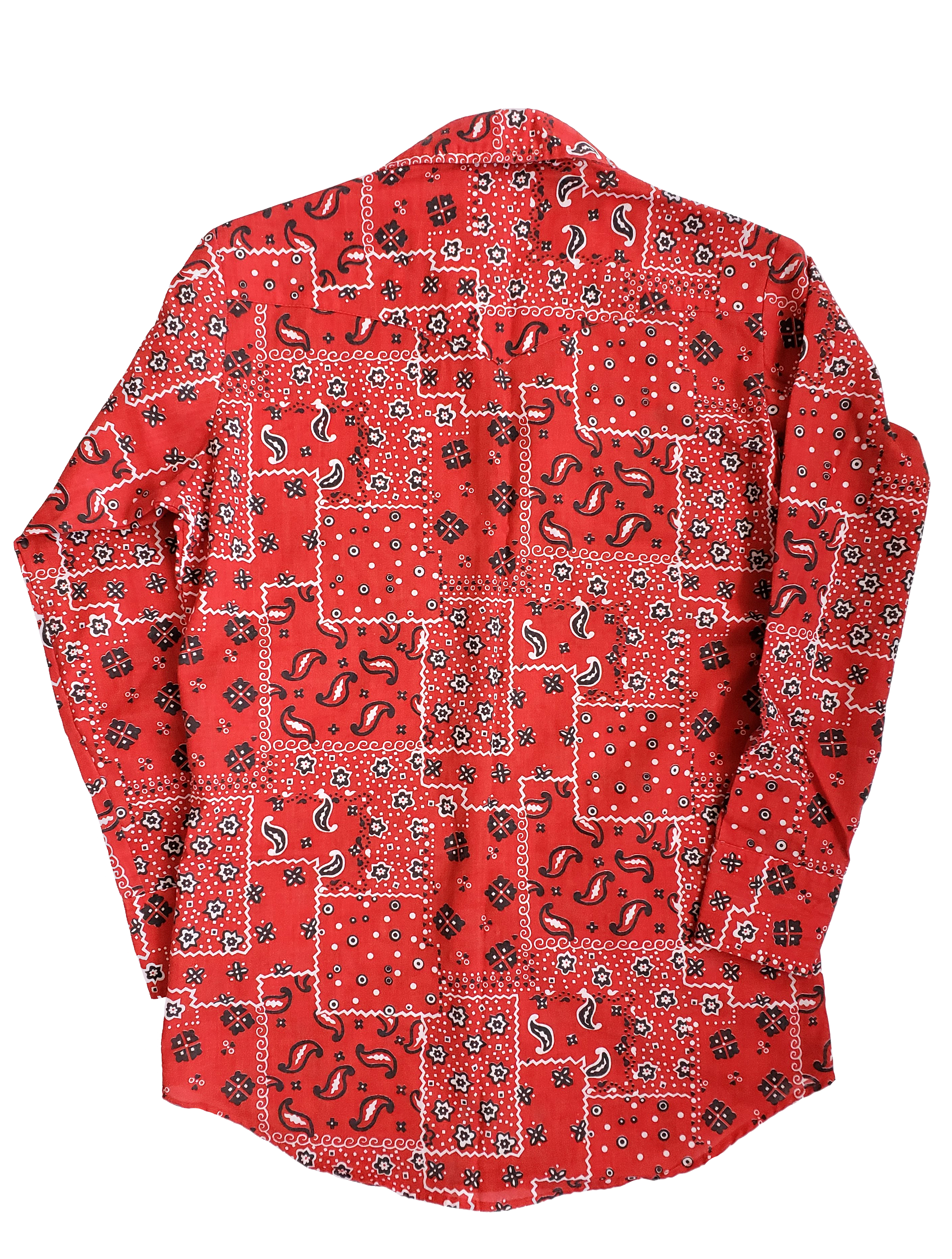 Vintage Lee Western Style Snapdown Shirt