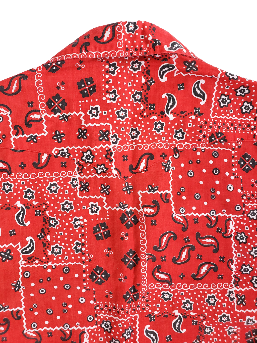 Vintage Lee Western Style Snapdown Shirt