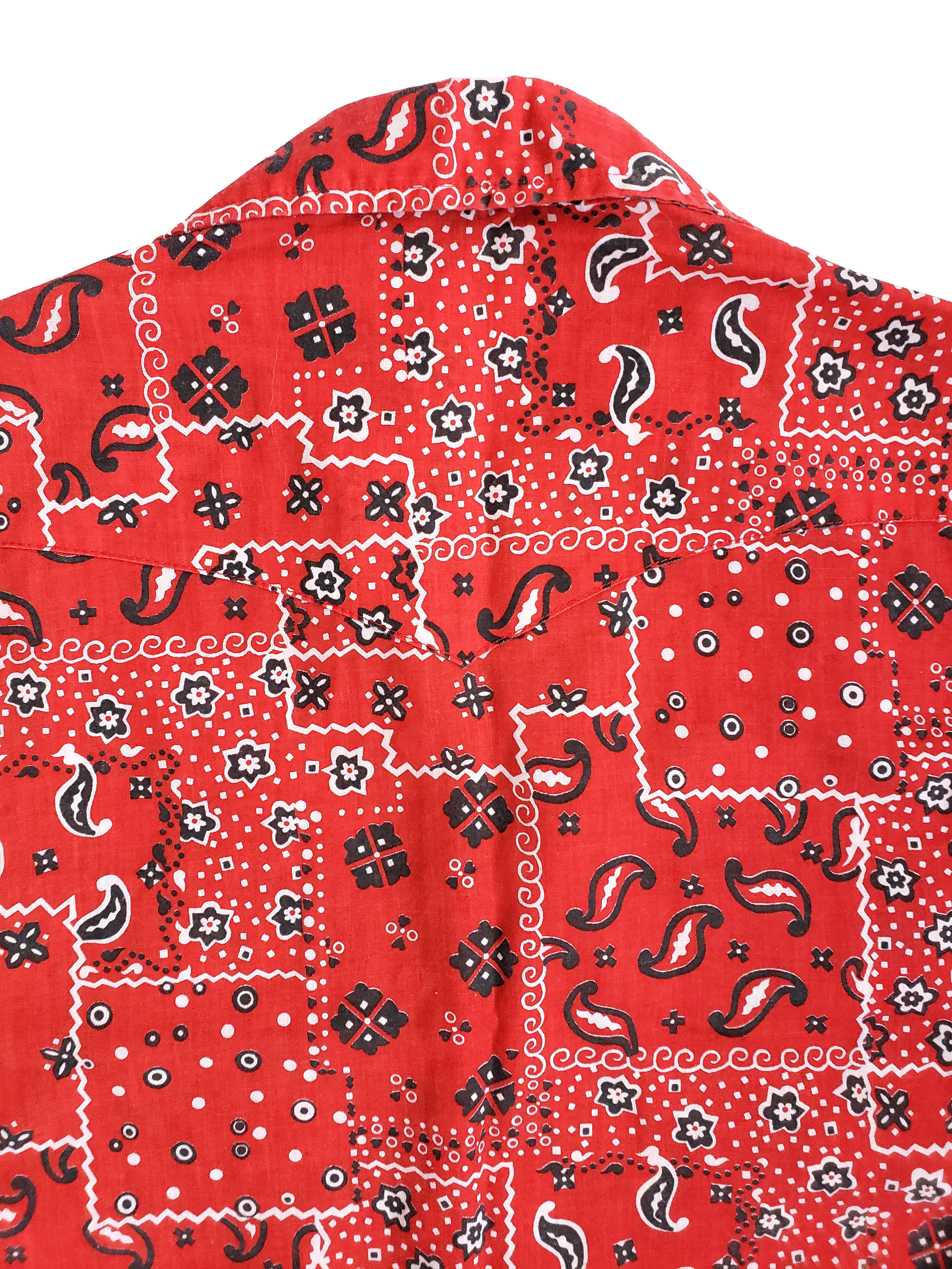 Vintage Lee Western Style Snapdown Shirt