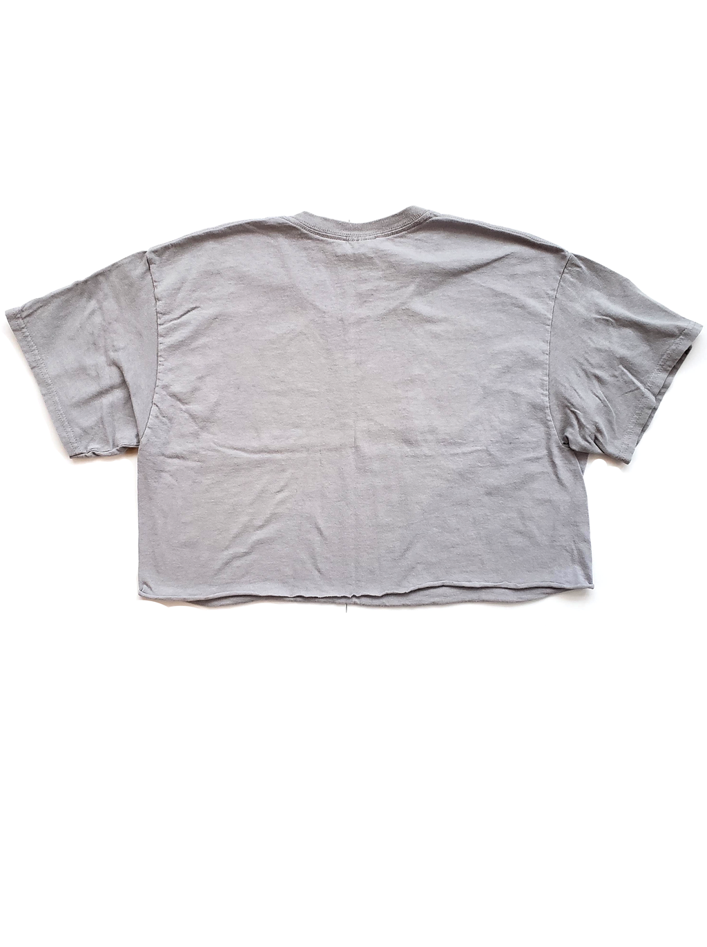 Nashville Vintage Style Cropped Men's Tee