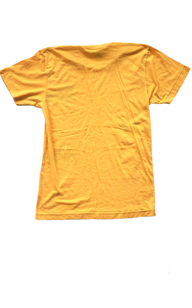 American Apparel Lion Tee