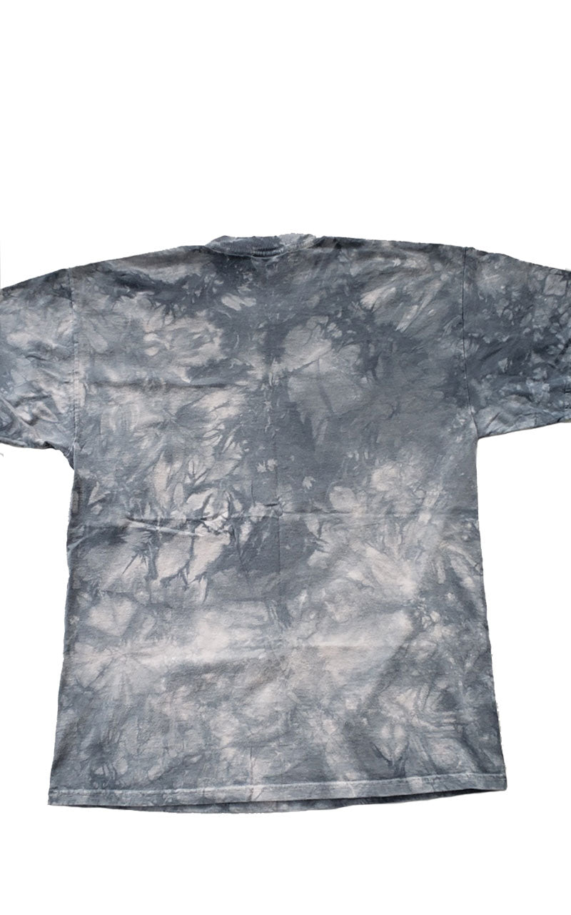 Alaska Eagle Tee Dress