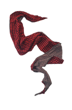 Hounds & Snakes Scarf