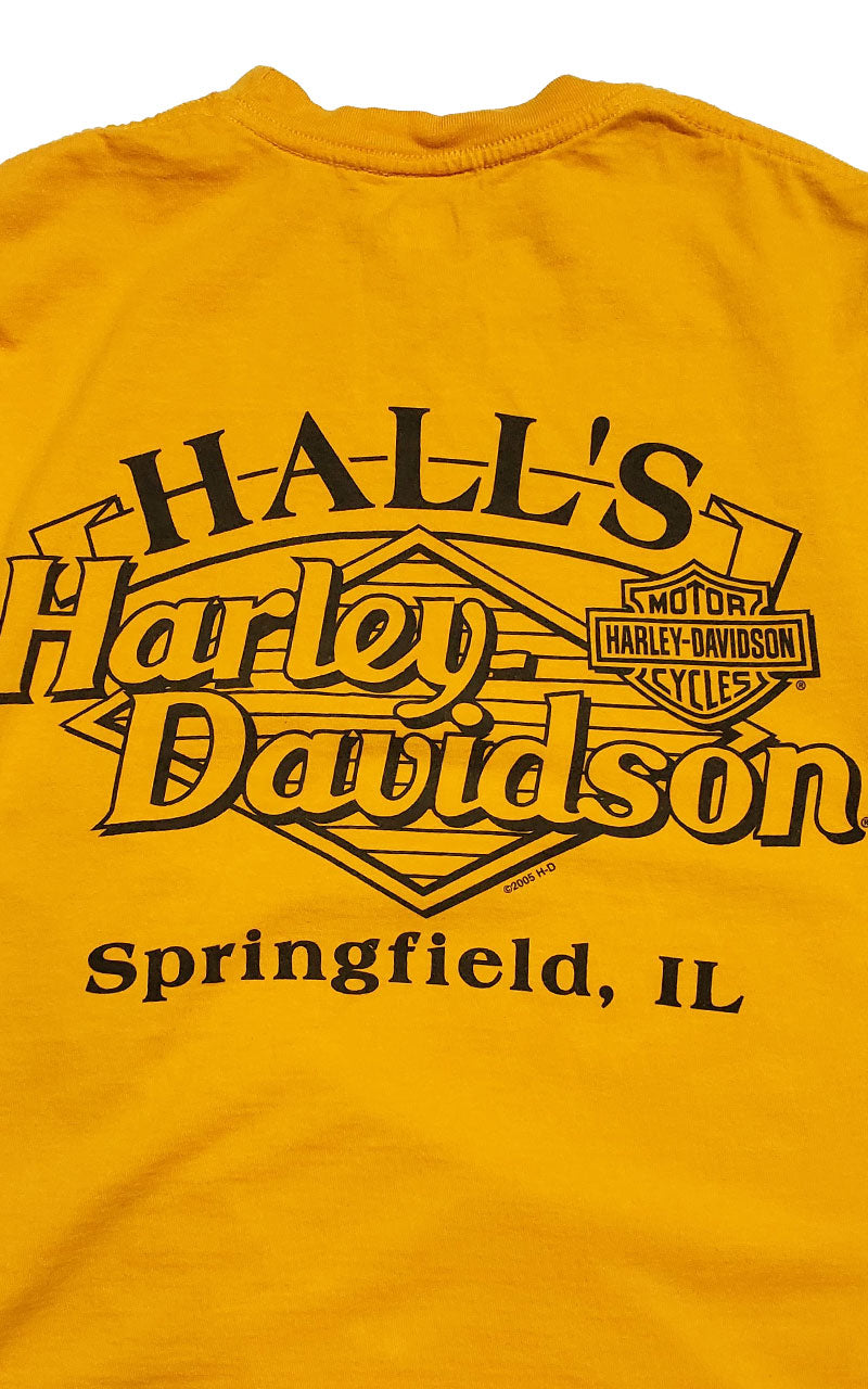 Rare Harley Halloween Harley Davidson Graphic Tee