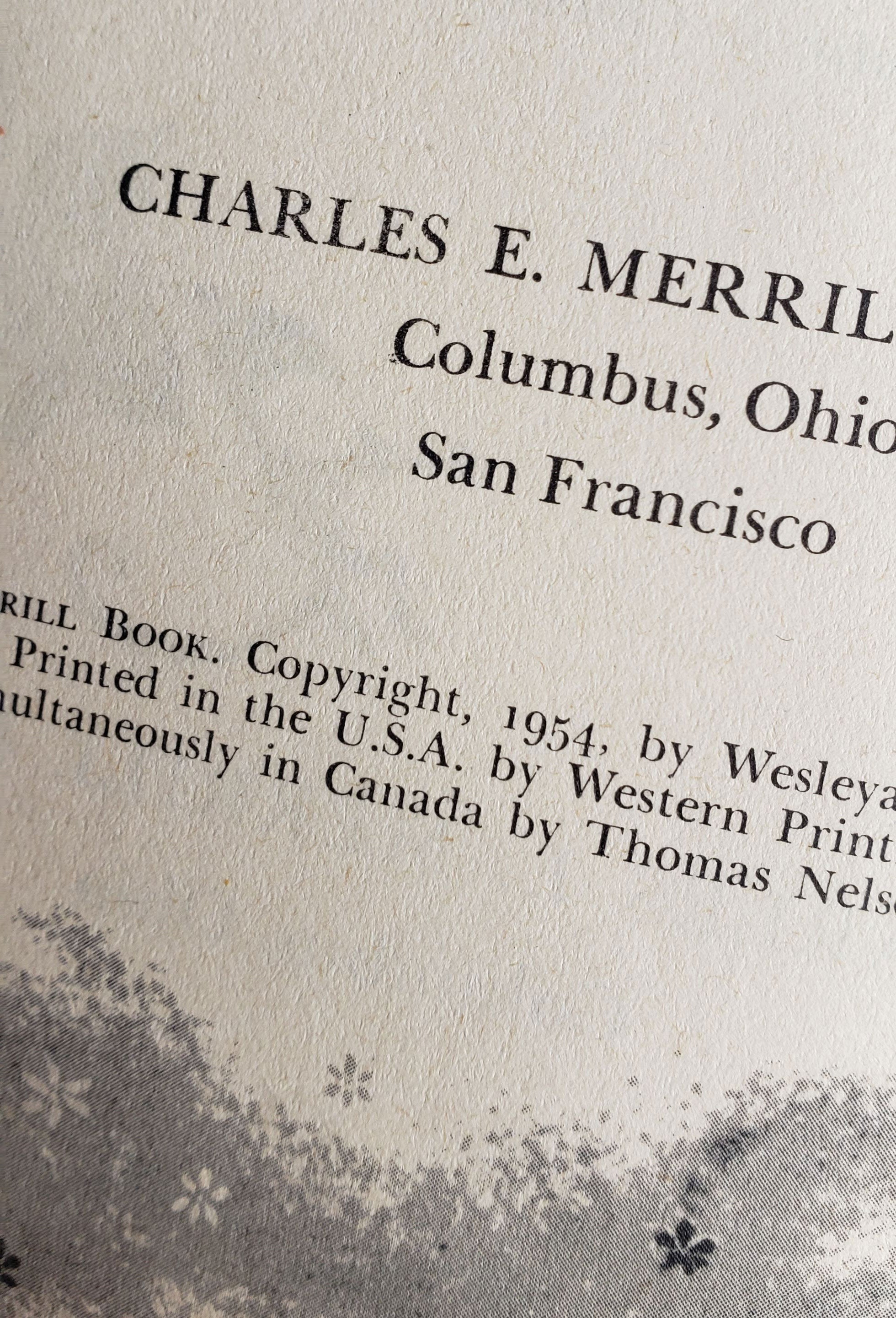 Rare Vintage Magic Carpet Children's Book (Copyright 1954)