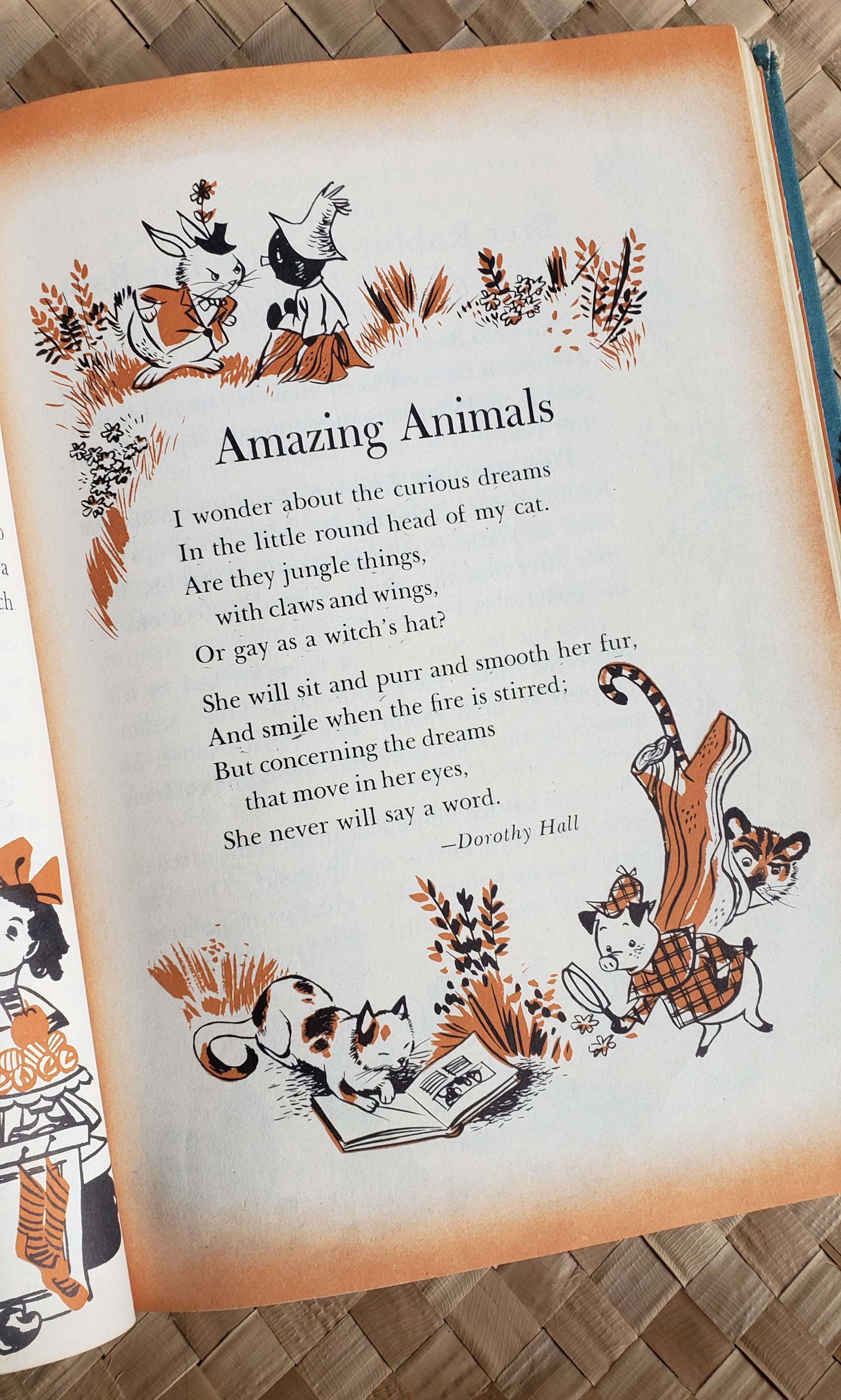 Rare Vintage Magic Carpet Children's Book (Copyright 1954)