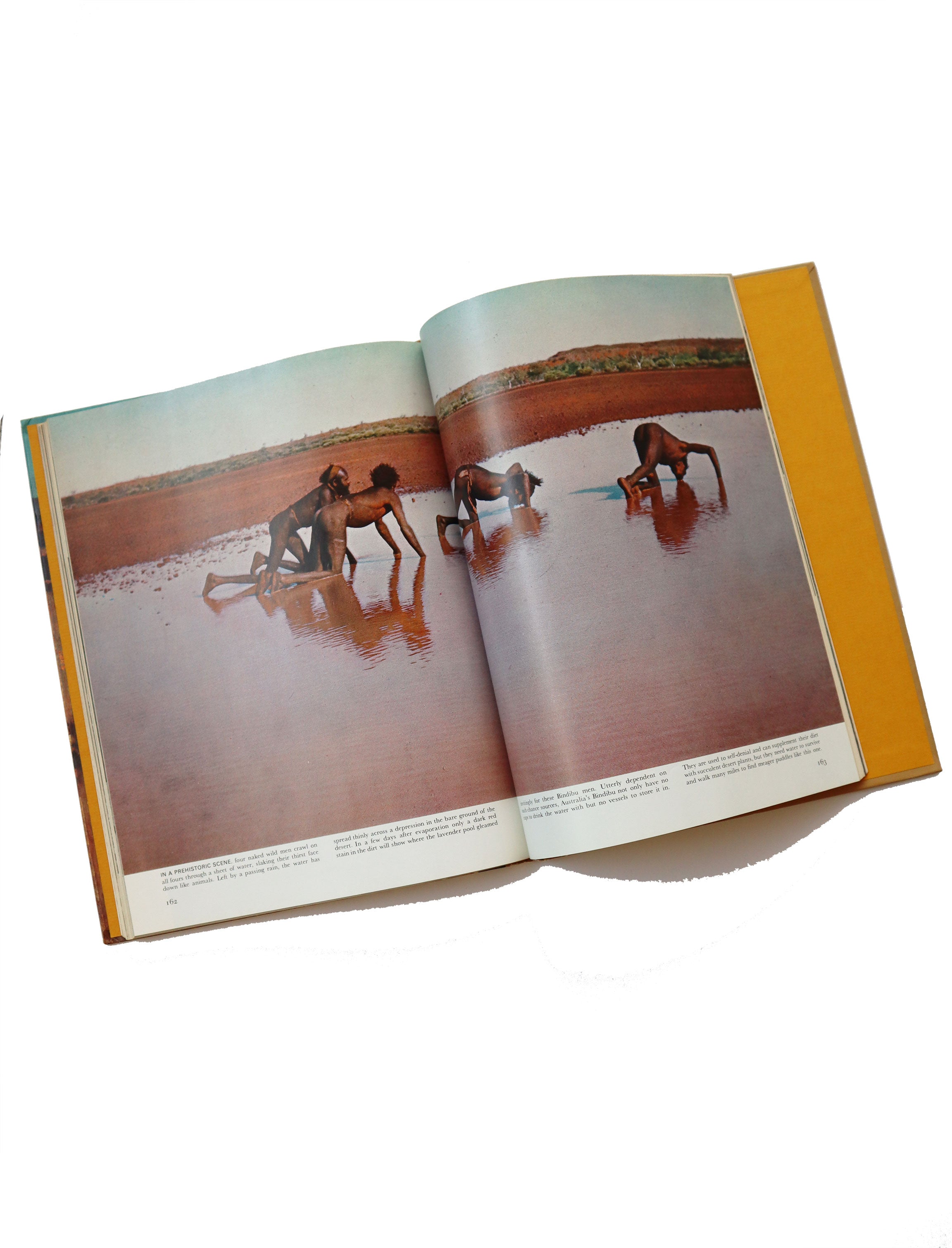 Vintage Life Nature Library's The Desert (copyright 1961, 1962)