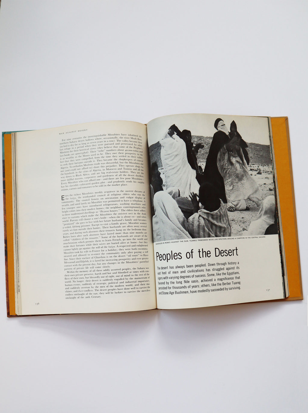 Vintage Life Nature Library's The Desert (copyright 1961, 1962)