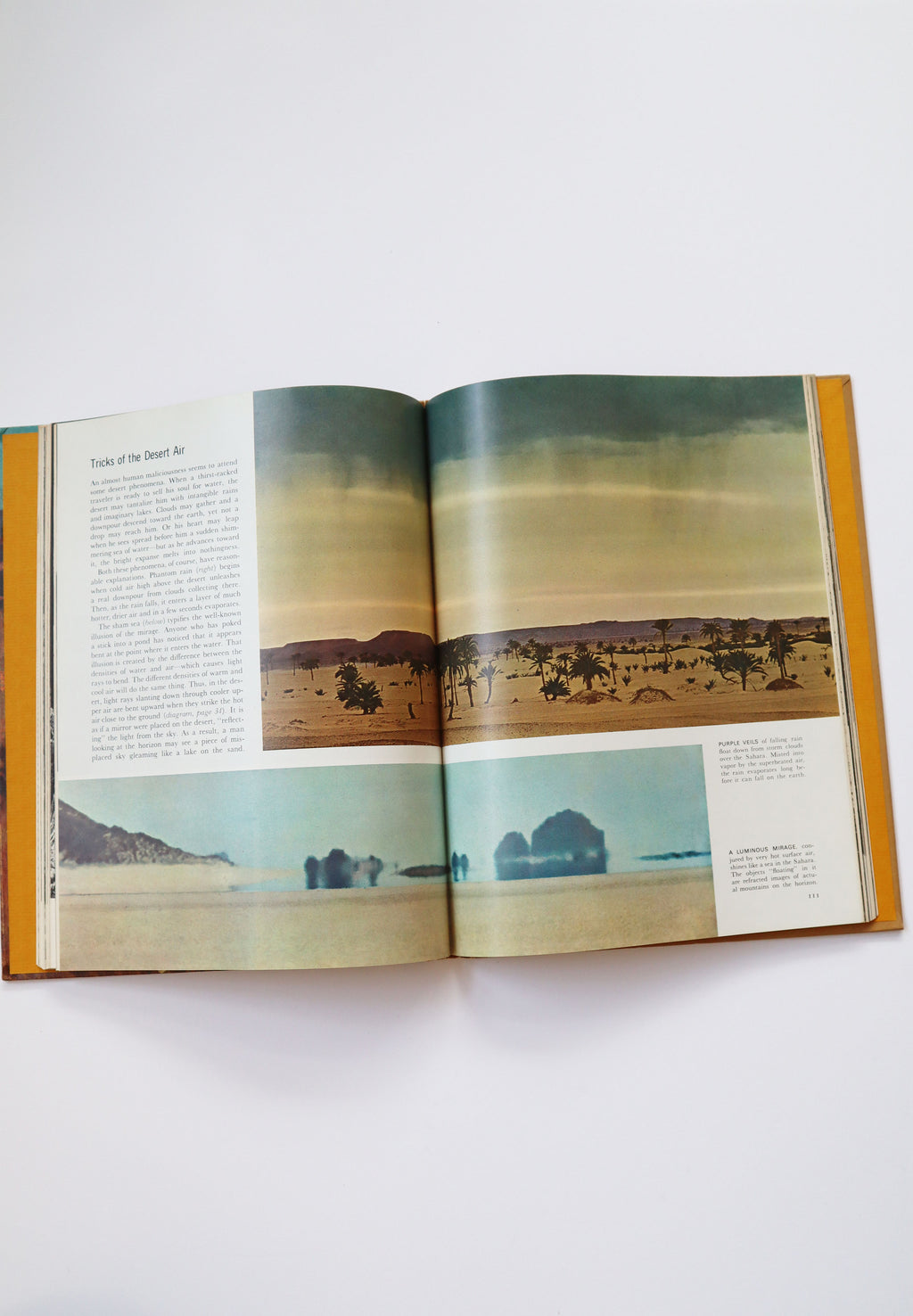 Vintage Life Nature Library's The Desert (copyright 1961, 1962)