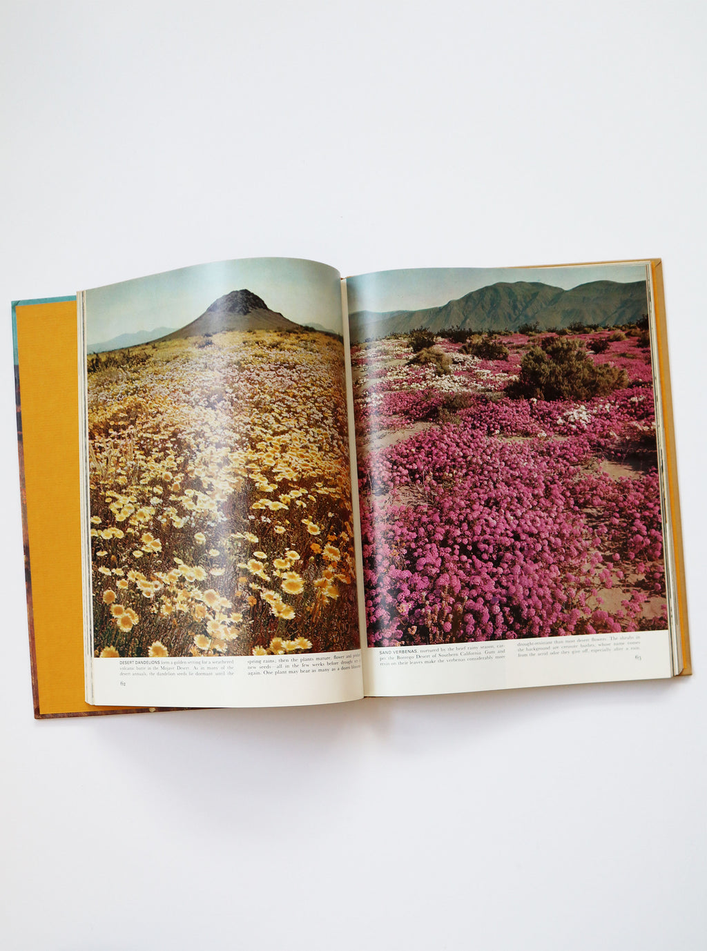 Vintage Life Nature Library's The Desert (copyright 1961, 1962)
