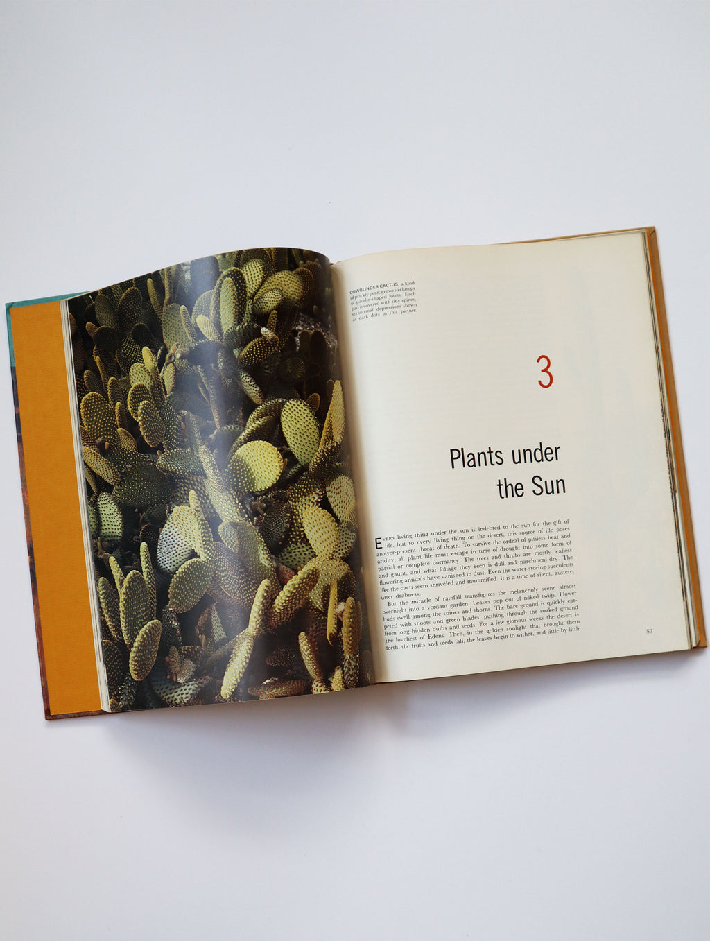 Vintage Life Nature Library's The Desert (copyright 1961, 1962)