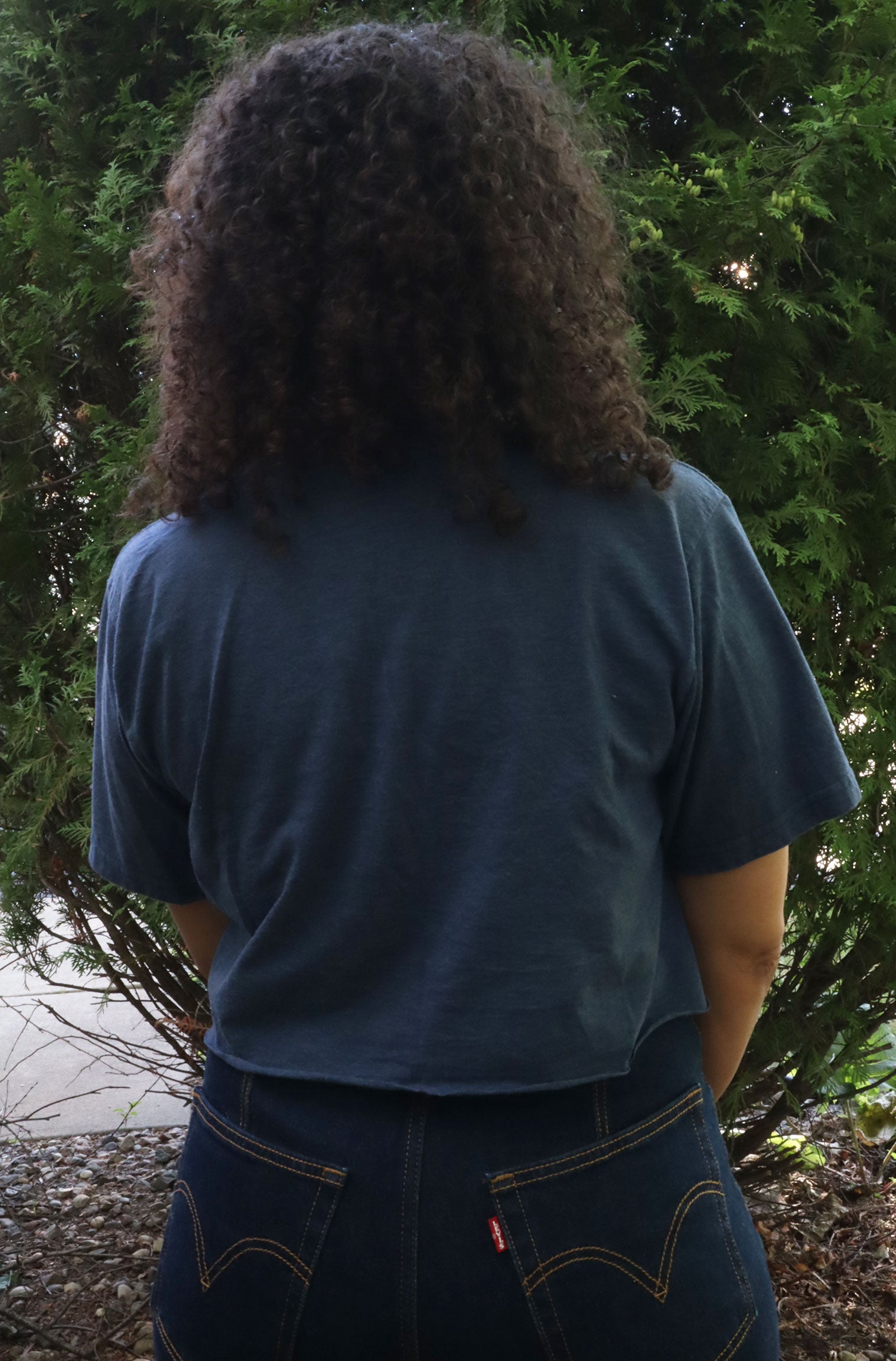 Ford Mustang Ride the Pony Cropped Graphic Tee