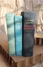 1920s Elsie Dinsmore by Finley Hard Cover Book