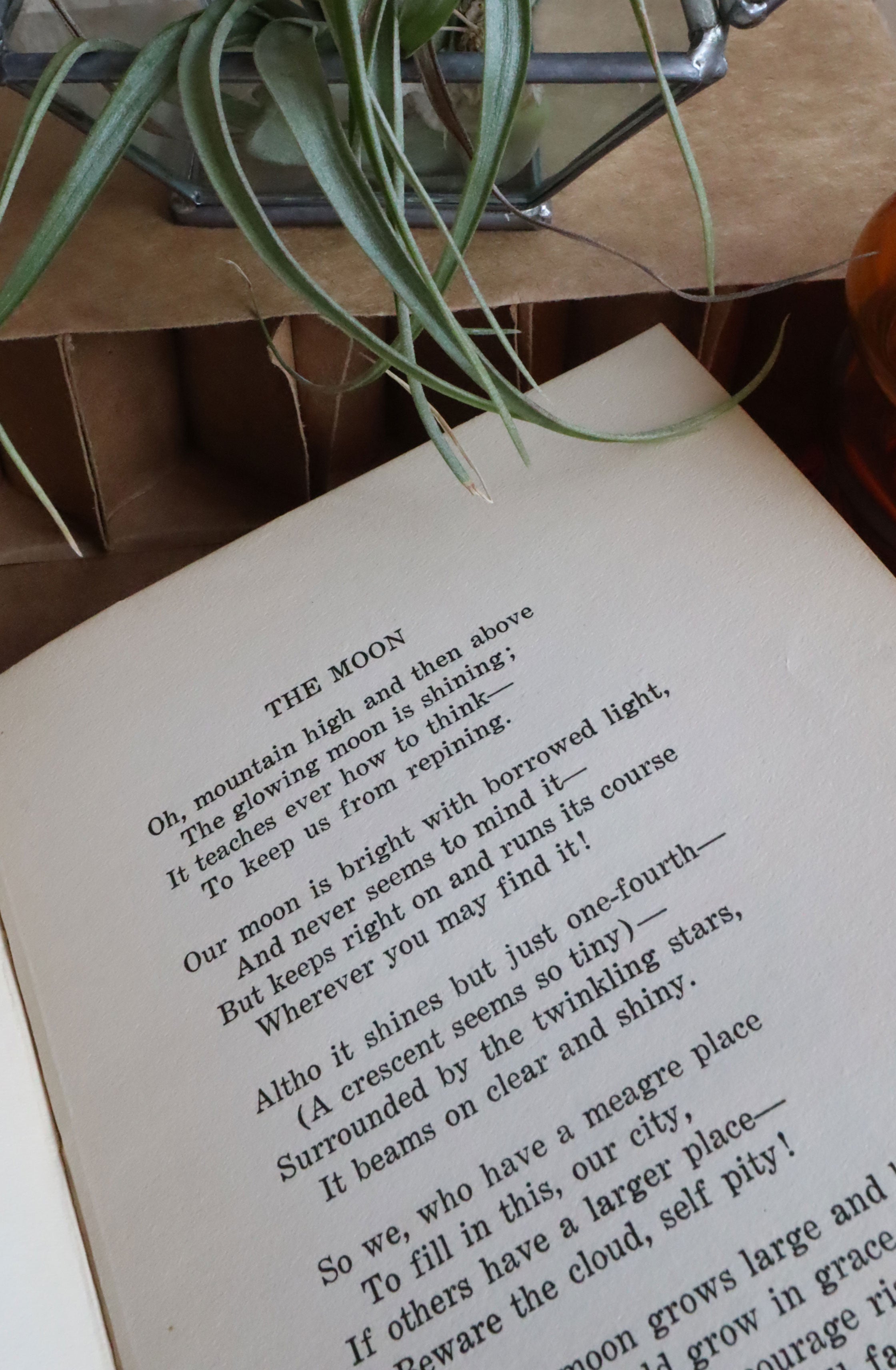 1925-1927 - Blossoms by Genevieve Thomas Wheeler Hard Cover Book