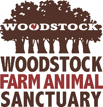 Woodstock Farm Animal Sanctuary Donation - $1