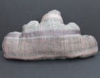 The iCloud Pillow - Autumn Enters