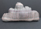 The iCloud Pillow - Autumn Enters